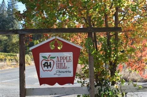 Apple hill farms. Things To Know About Apple hill farms. 